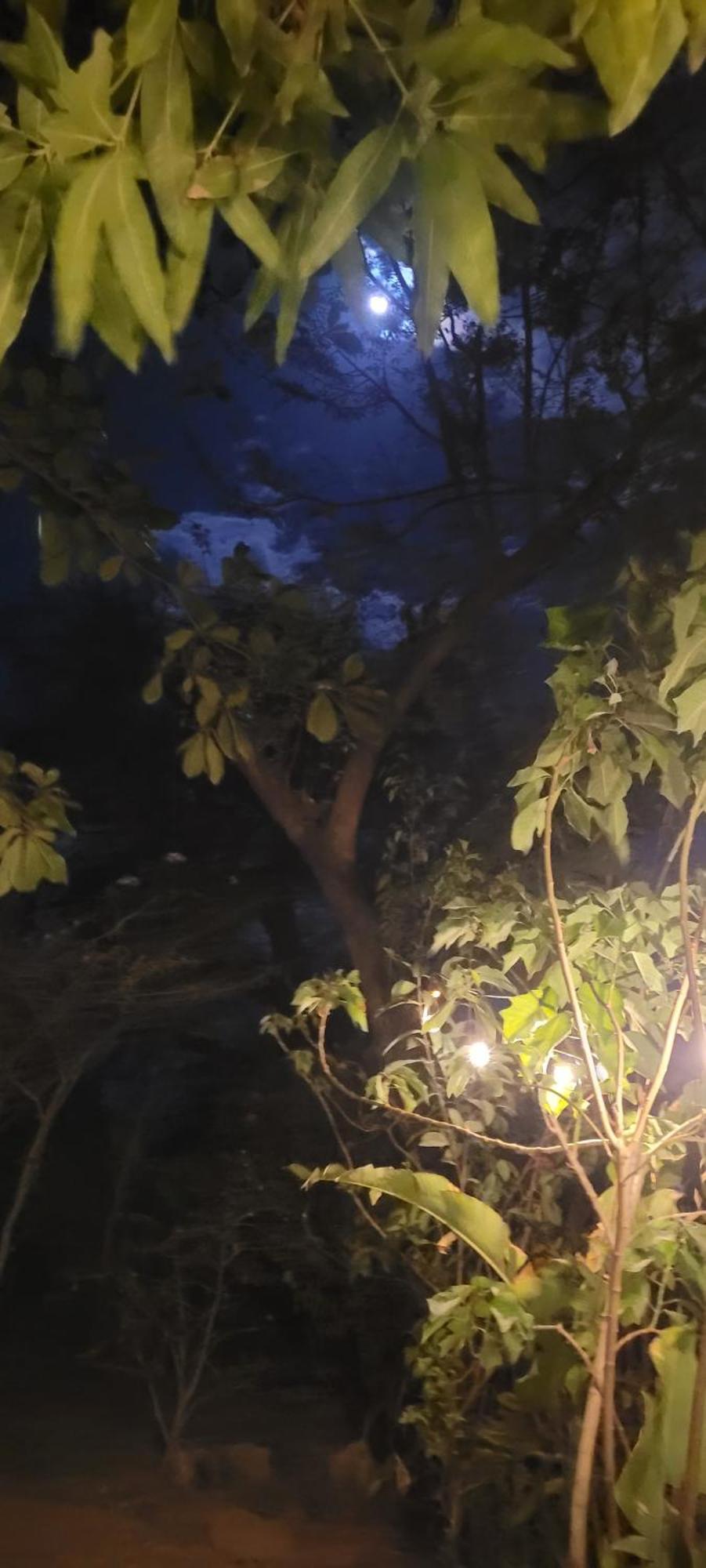 Hostal Xilotl San José del Sur エクステリア 写真